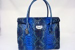 ART. 995 Pitone
