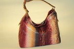 ART. 519 Pitone