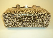 ART. 873 Leopardo e Camoscio